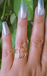 Big n mini hearts ring